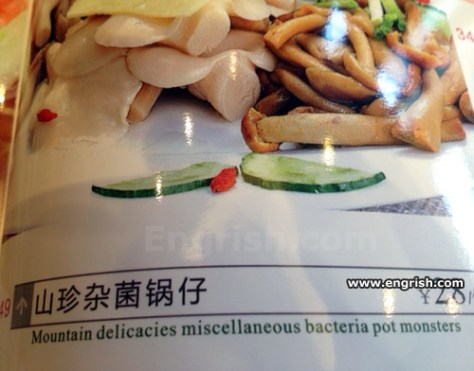 bacteria-pot-monsters