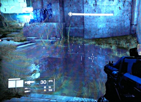 This doesn't show it well, but bubbles float up out of the water in the Black Garden.