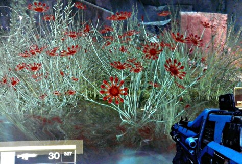 More flowers in the Black Garden