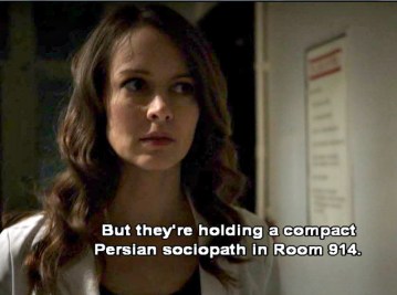 Person of Interest, Ep 21, compact Persian sociopath