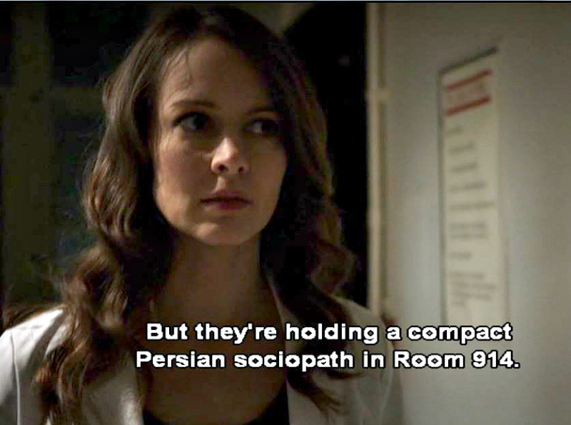 Person of Interest, Ep 21, compact Persian sociopath